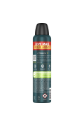 Desod Rexona Aerosol 250ml Men V8