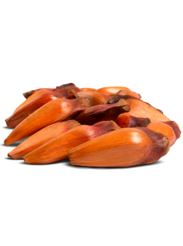 Pinhao Kg